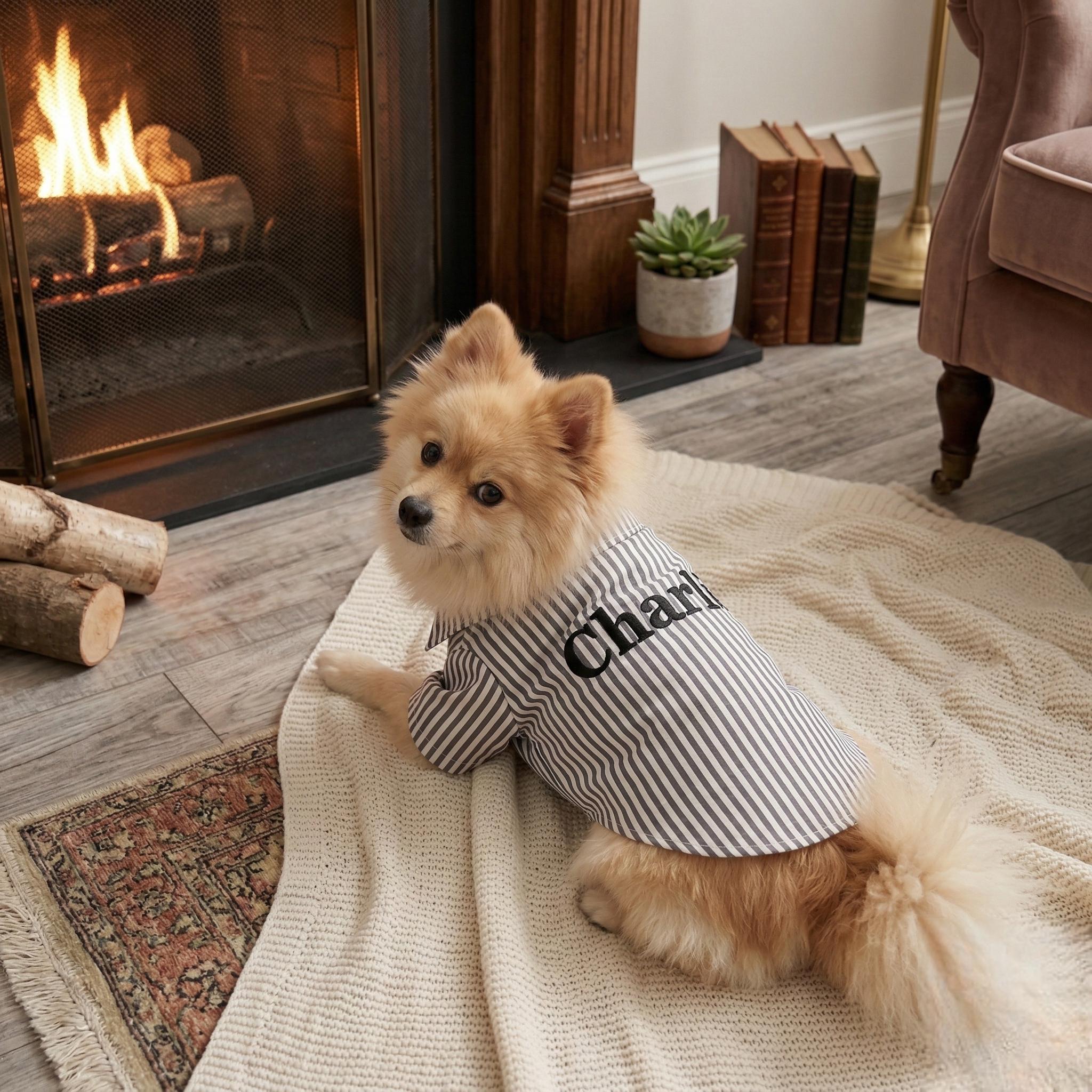 Personalized Embroidery Gentleman Pet Stripe Shirt | BKPet454