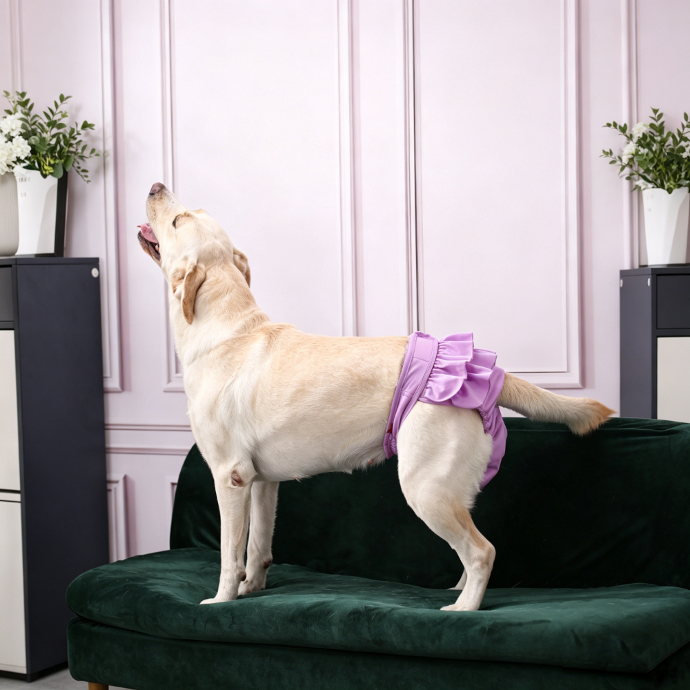 Personalized Embroidery Dog Bloomers Pet Diaper Cover for Heat | MNCloth220