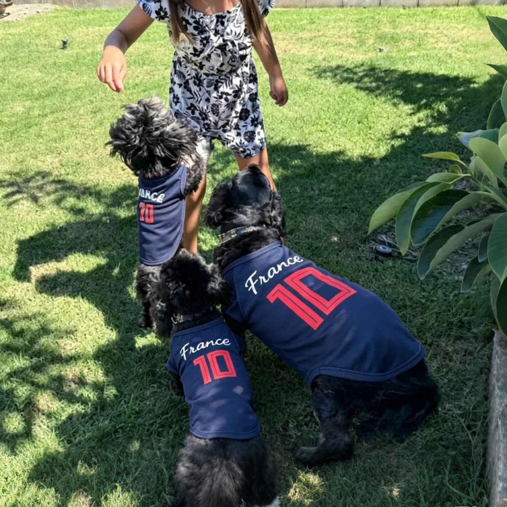 Personalized Dog & Cat Soccer Fan Sporty Vest | MNCloth216