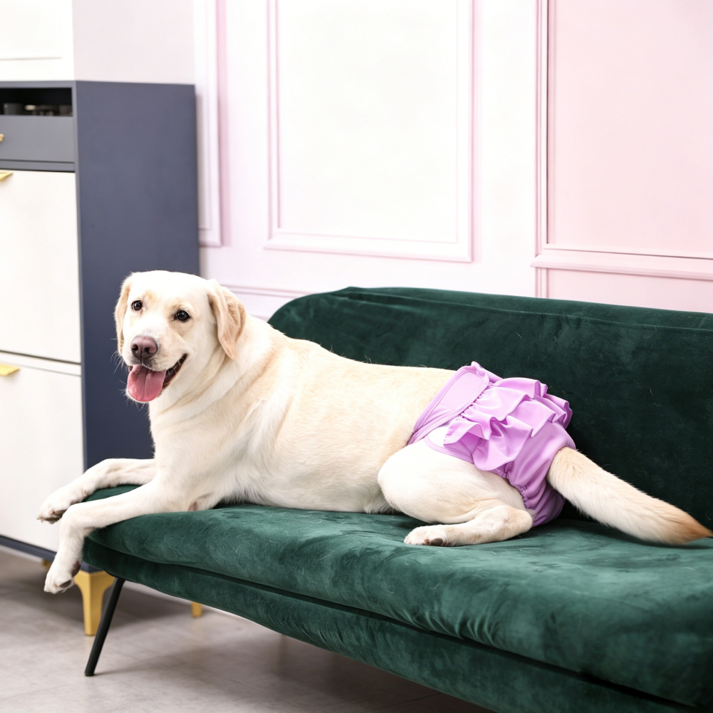 Personalized Embroidery Dog Bloomers Pet Diaper Cover for Heat | MNCloth220