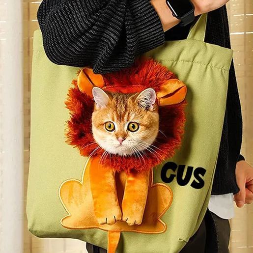 Personalized Lion Design Portable Breathable Cute Pet Carriers | BKPet60