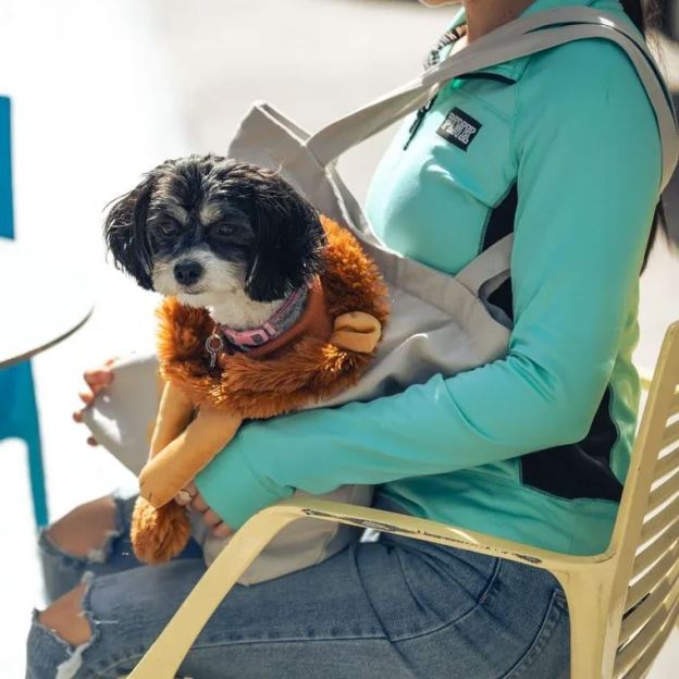 Personalized Lion Design Portable Breathable Cute Pet Carriers | BKPet60