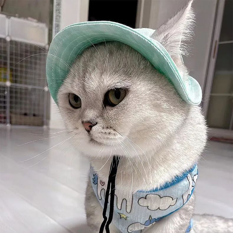 Personalized Embroidery Pet Sun Hat with Ear Holes | BKPet66