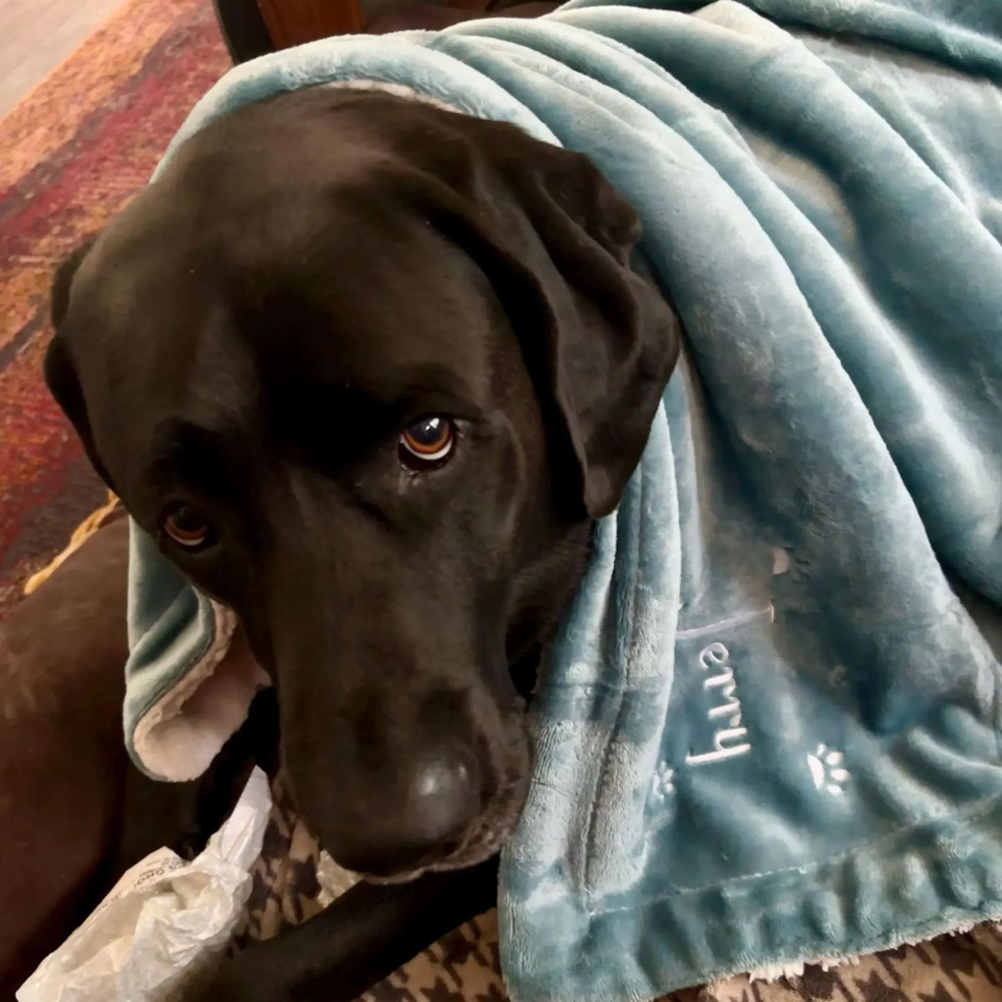 Personalized Thick Fleece Pet Blanket for Comfort & Unique | BKPet99