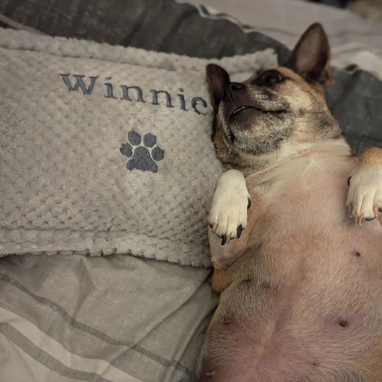 Personalized Warm Pet Pillow for Comfort & Unique | BKPet21