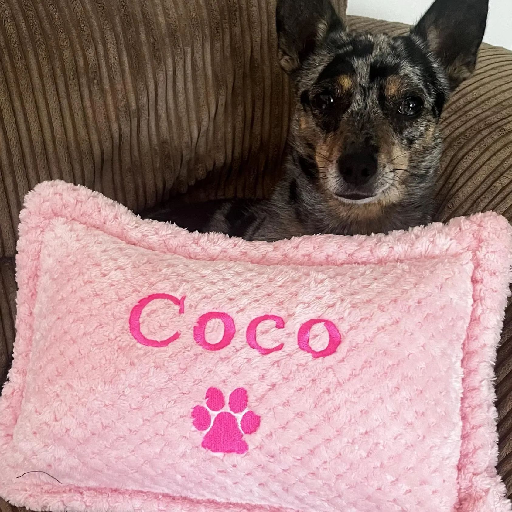 Personalized Warm Pet Pillow for Comfort & Unique | BKPet21