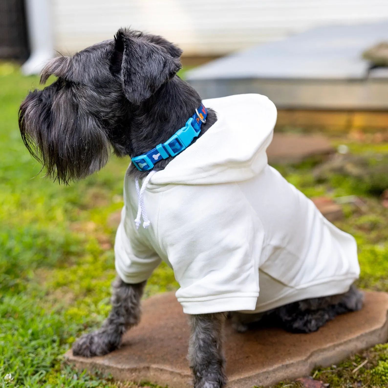Personalized Varsity Letter Dog Hoodie for Comfort and Unique | BKPet140