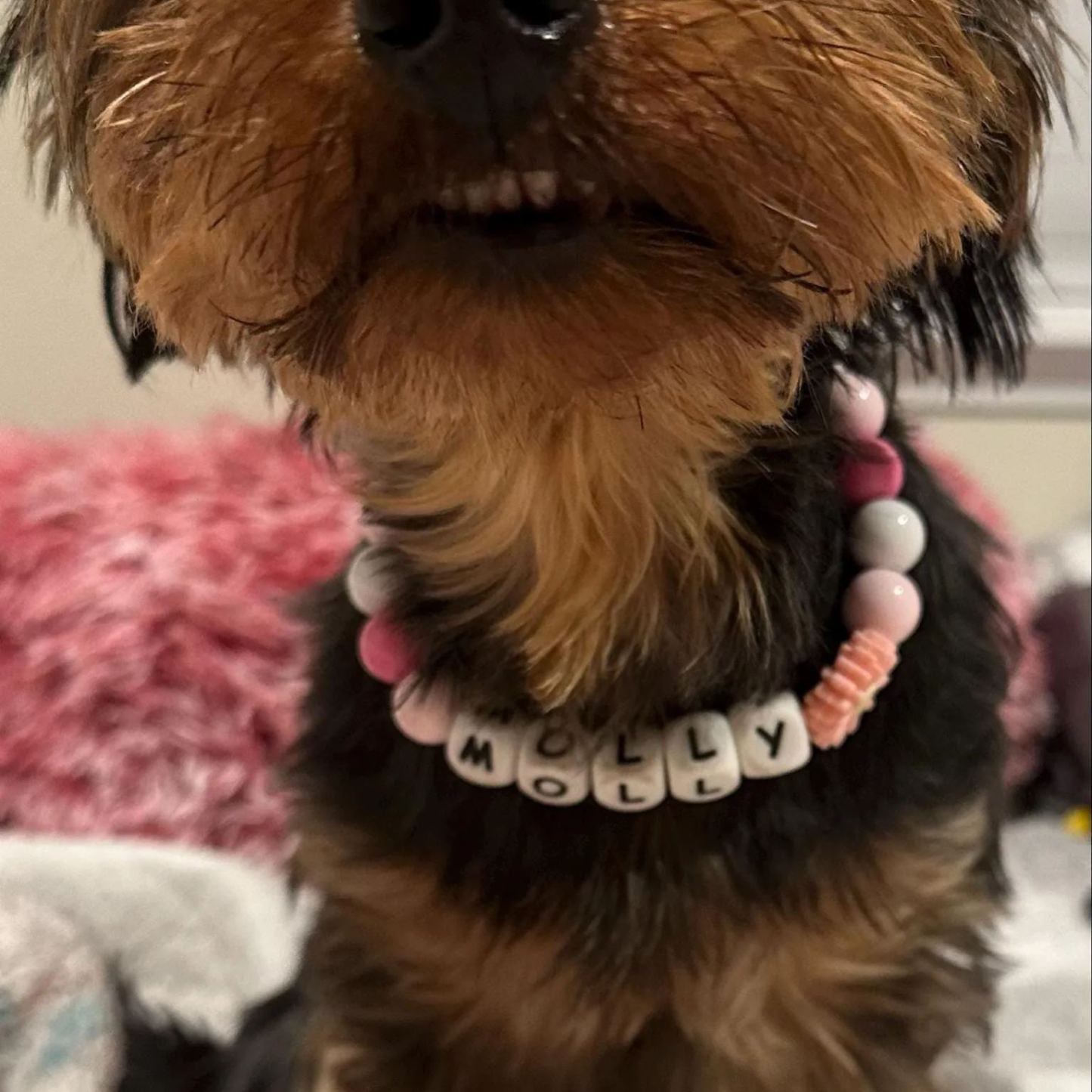 Personalized Handmade Name Dog Collar with Buckle | BKPet143