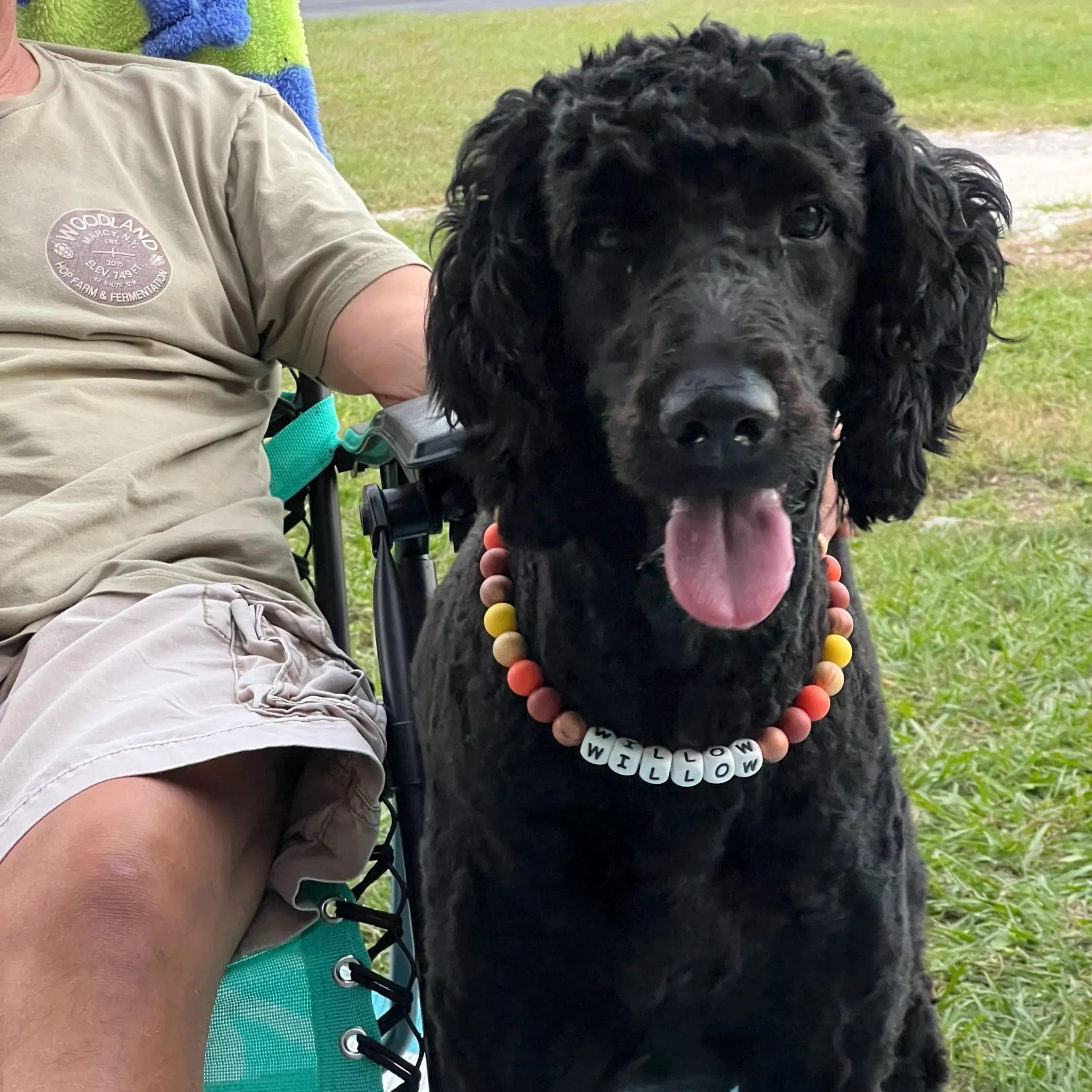 Personalized Handmade Silicone Beads Dog Collar | BKPet144