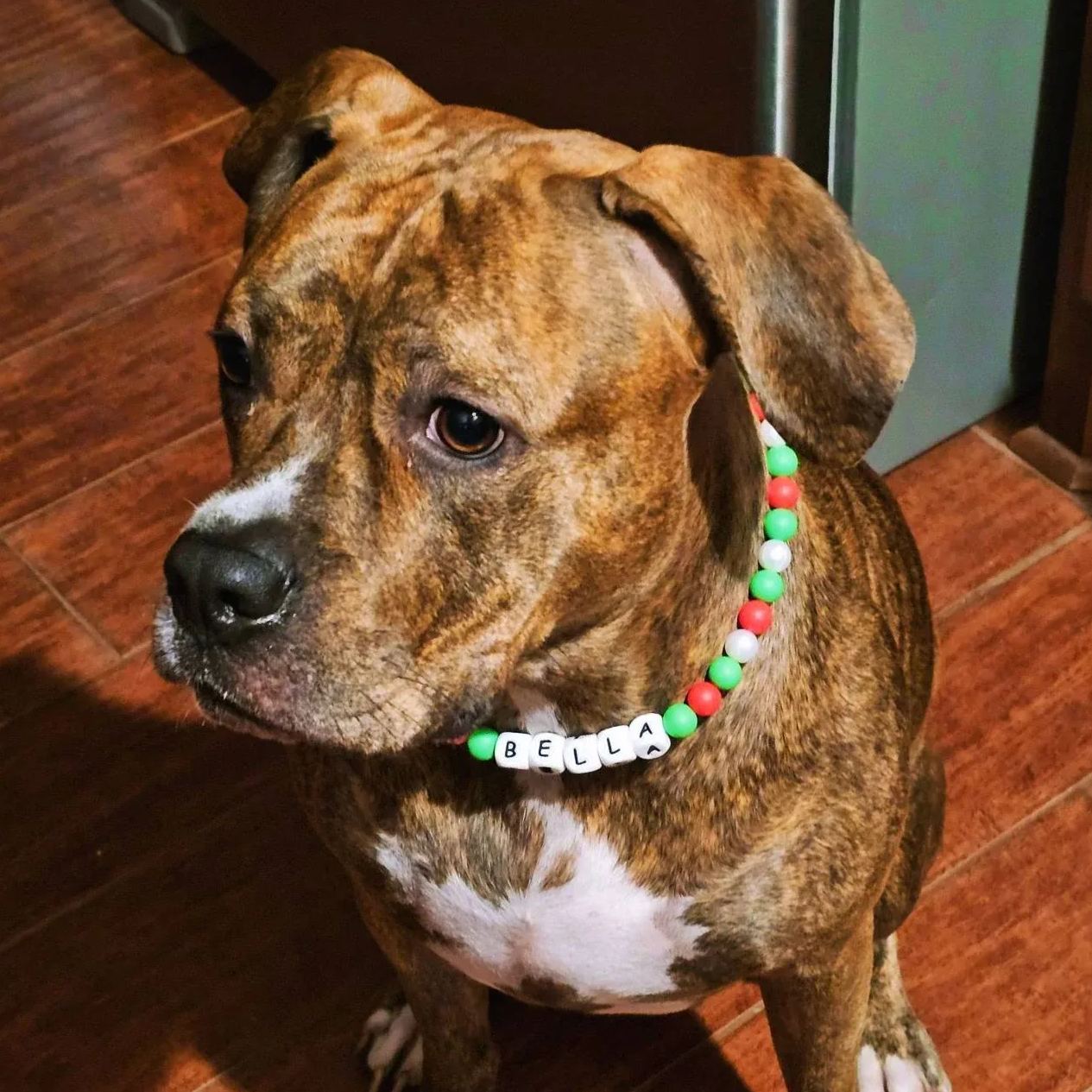 Personalized Handmade Silicone Beads Dog Collar | BKPet144