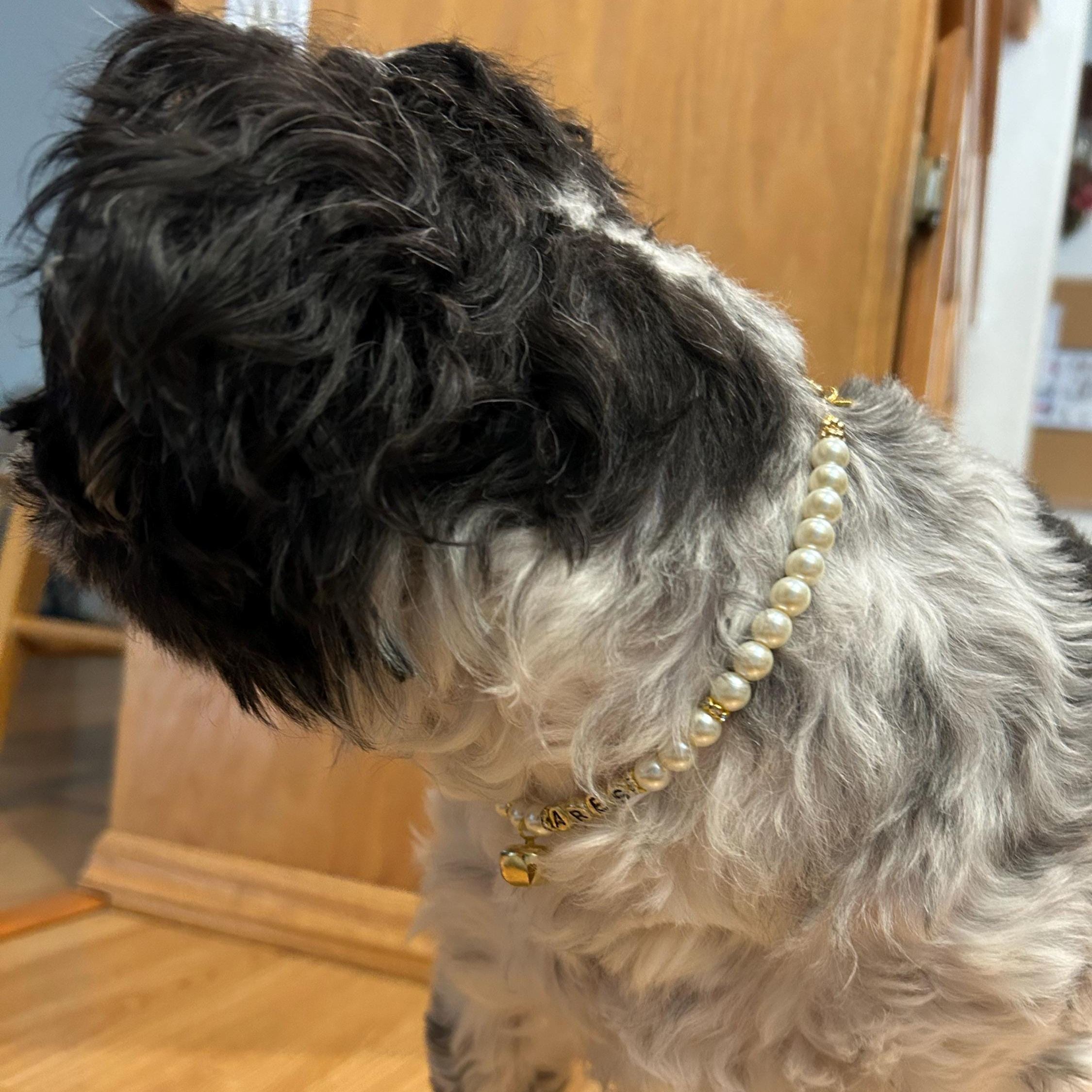 Personalized Handmade Pearl Pet Collar with Name | BKPet193