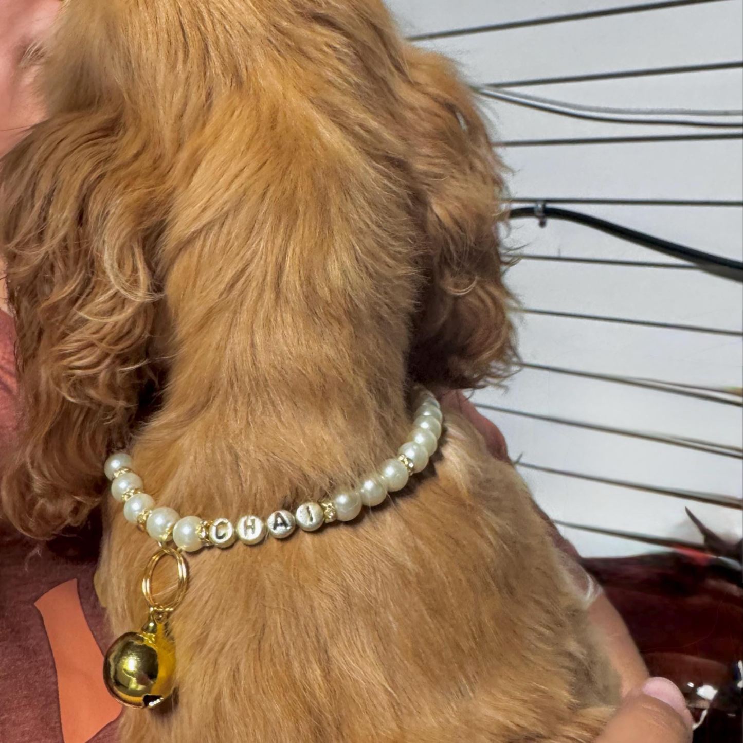 Personalized Handmade Pearl Pet Collar with Name | BKPet193