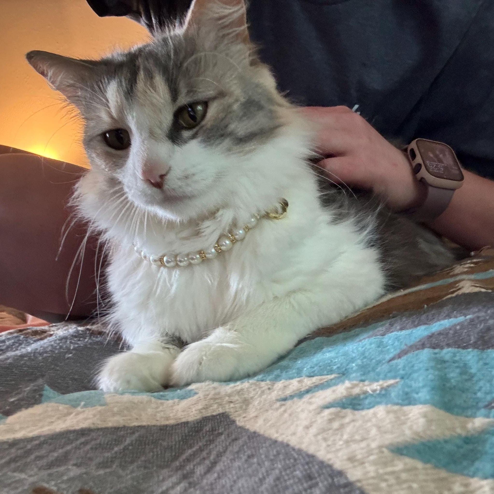 Personalized Handmade Pearl Pet Collar with Name | BKPet193