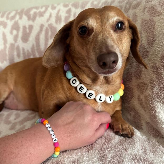 Personalized Handmade Beaded Pet Collar And Bracelet | BKPet213