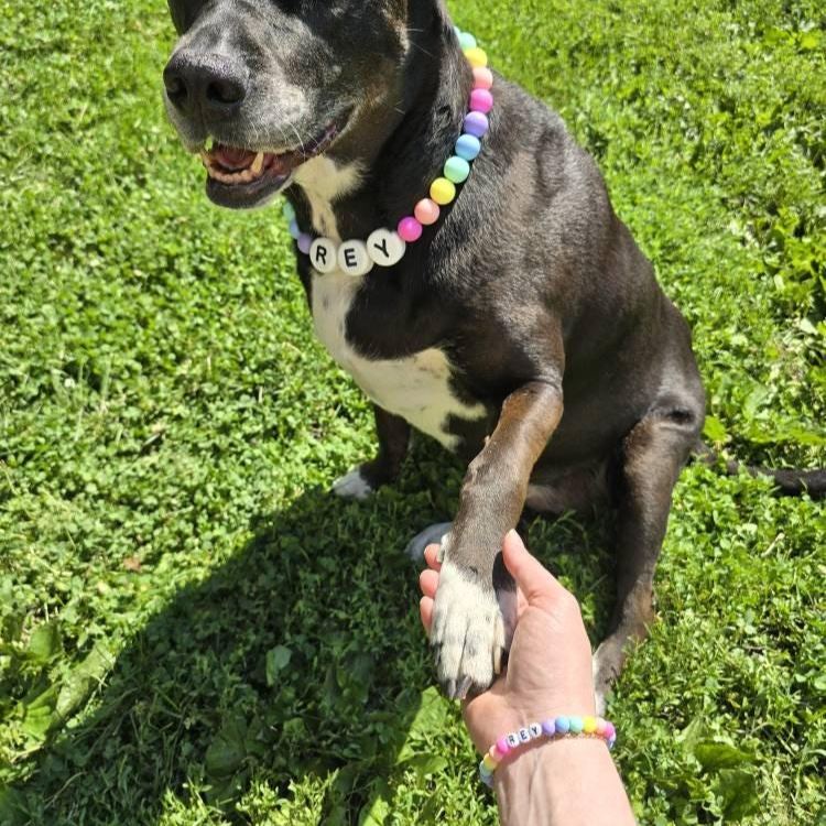 Personalized Handmade Beaded Pet Collar And Bracelet | BKPet213