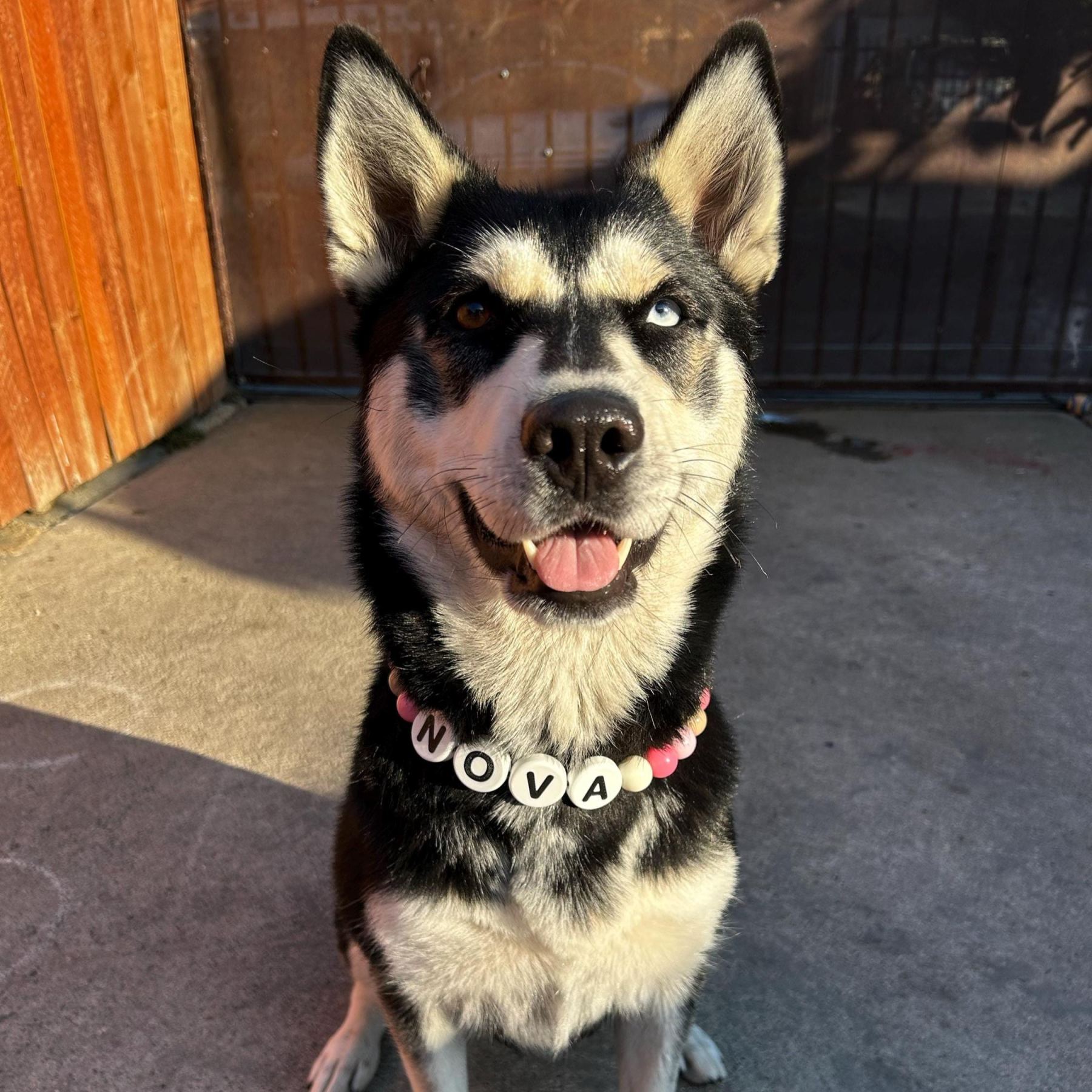 Personalized Handmade Beaded Pet Collar And Bracelet | BKPet213