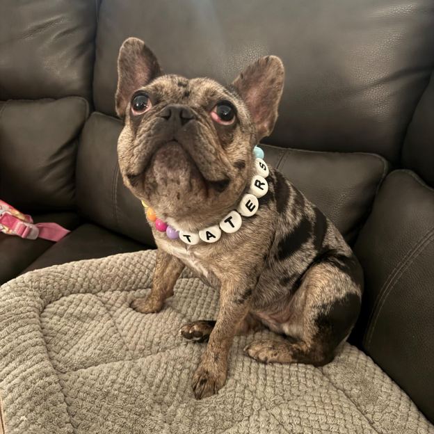 Personalized Handmade Beaded Pet Collar And Bracelet | BKPet213