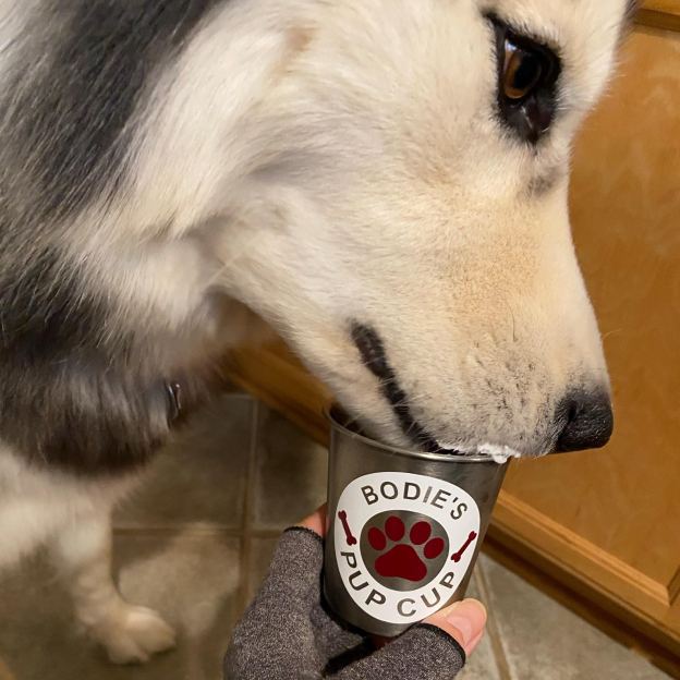 Personalized Pet Stainless Steel Reusable Pup Cup Mug | BKPet263