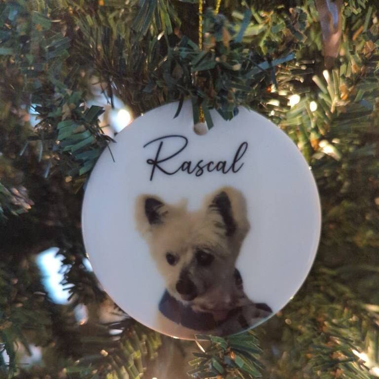 Personalized Pet Photo Christmas Ornament | BKPet264
