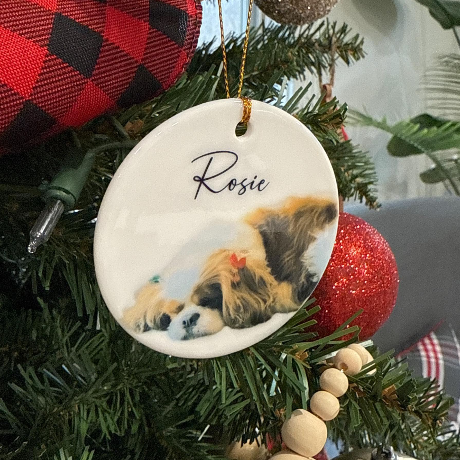 Personalized Pet Photo Christmas Ornament | BKPet264