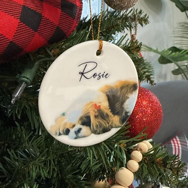 Personalized Pet Photo Christmas Ornament | BKPet264