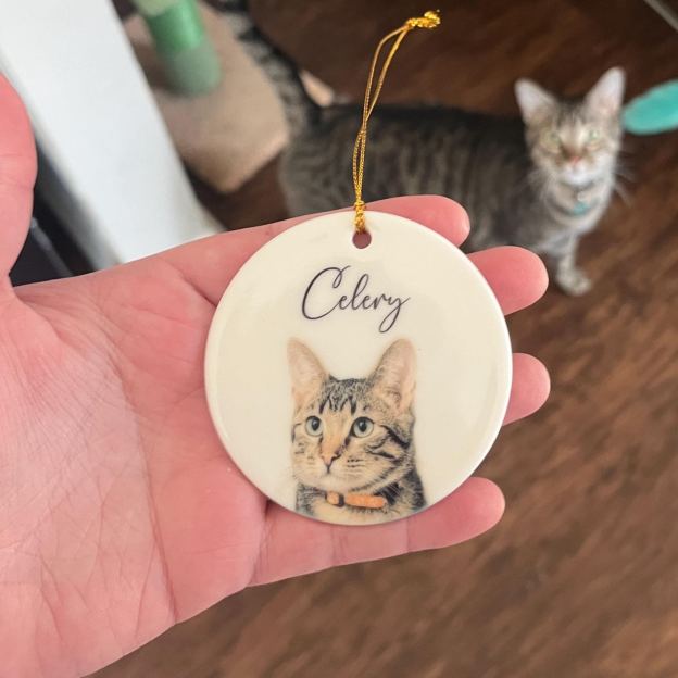 Personalized Pet Photo Christmas Ornament | BKPet264
