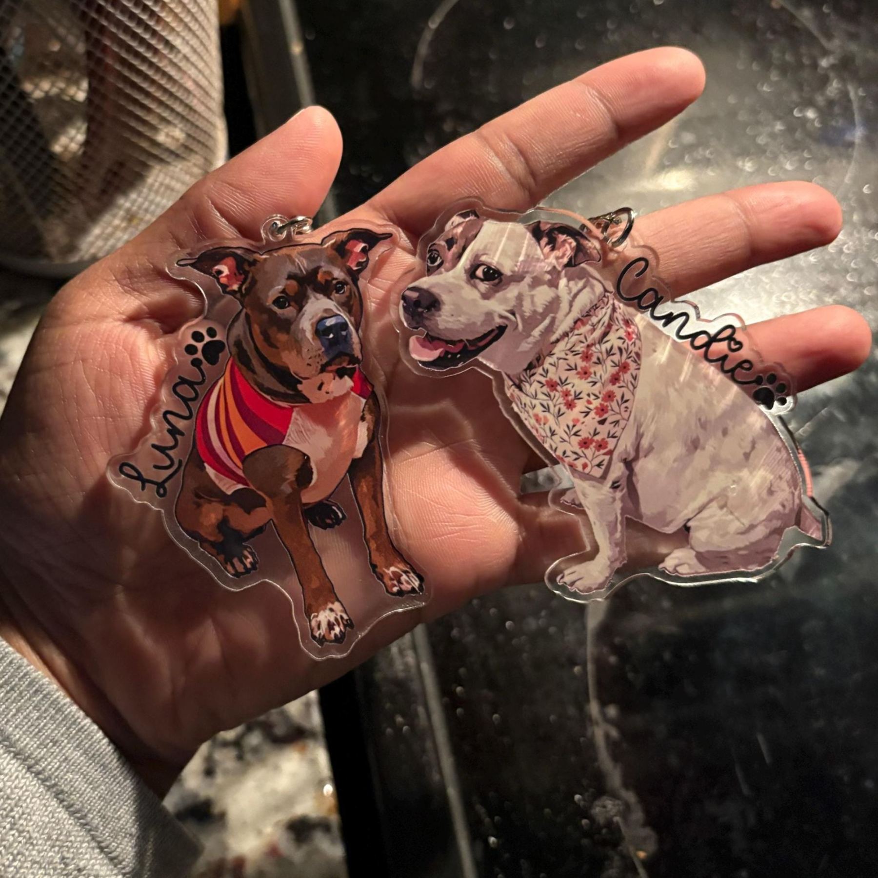 Personalized Illustrated Pet Portrait Fridge Photo Magnet | CWGift14