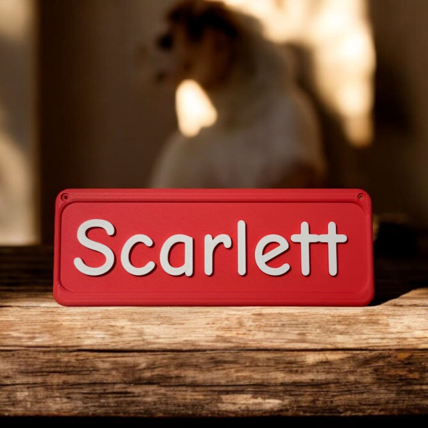 Personalized 3D Printed Pet Name Plate for Crate | BKPet350