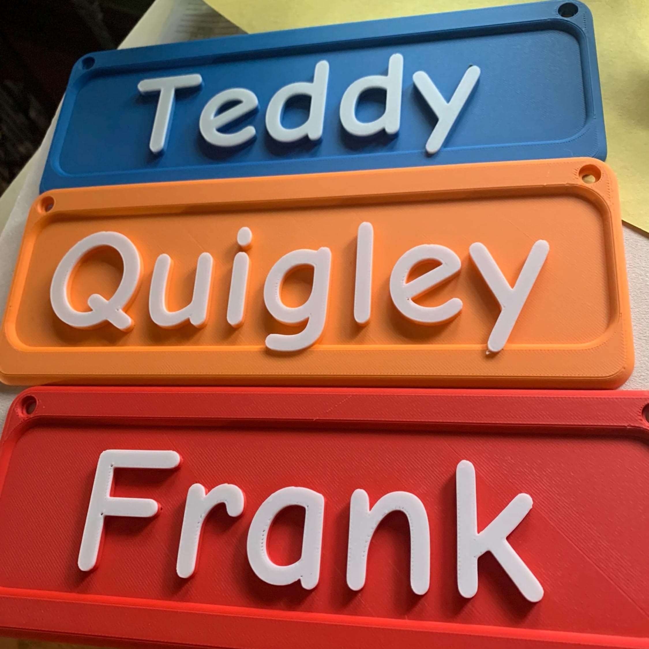 Personalized 3D Printed Pet Name Plate for Crate | BKPet350