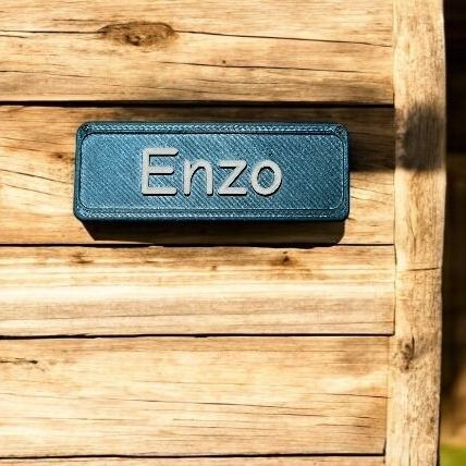 Personalized 3D Printed Pet Name Plate for Crate | BKPet350