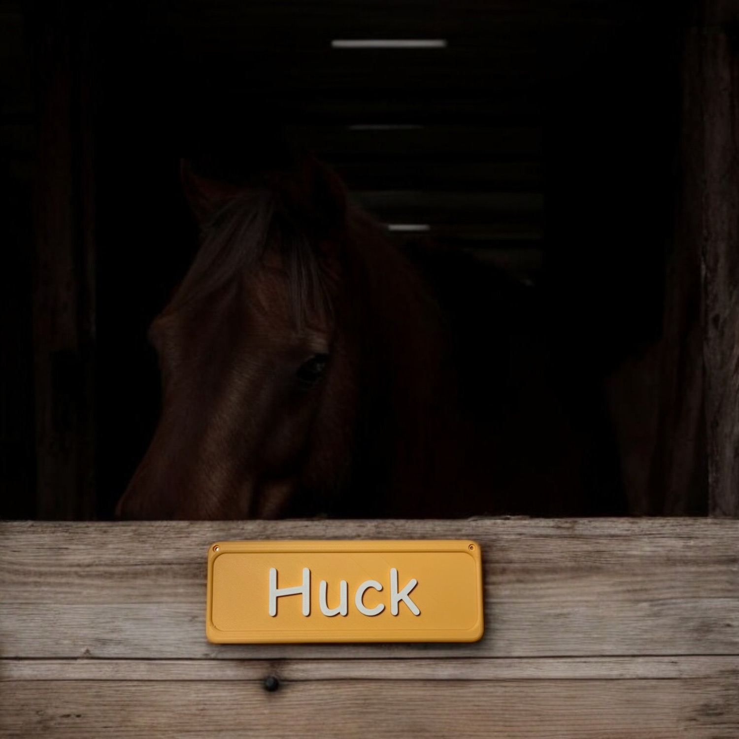 Personalized 3D Printed Pet Name Plate for Crate | BKPet350