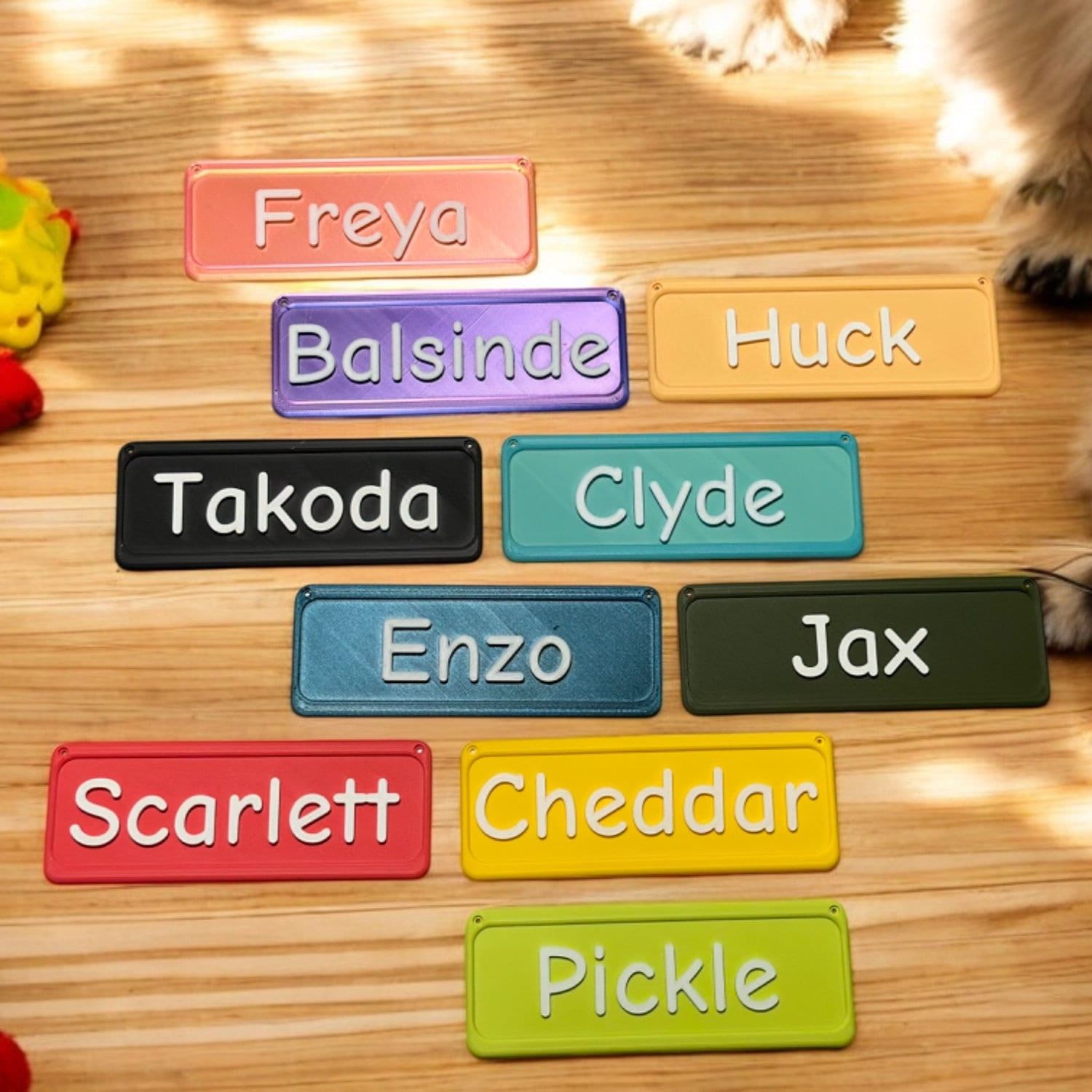 Personalized 3D Printed Pet Name Plate for Crate | BKPet350