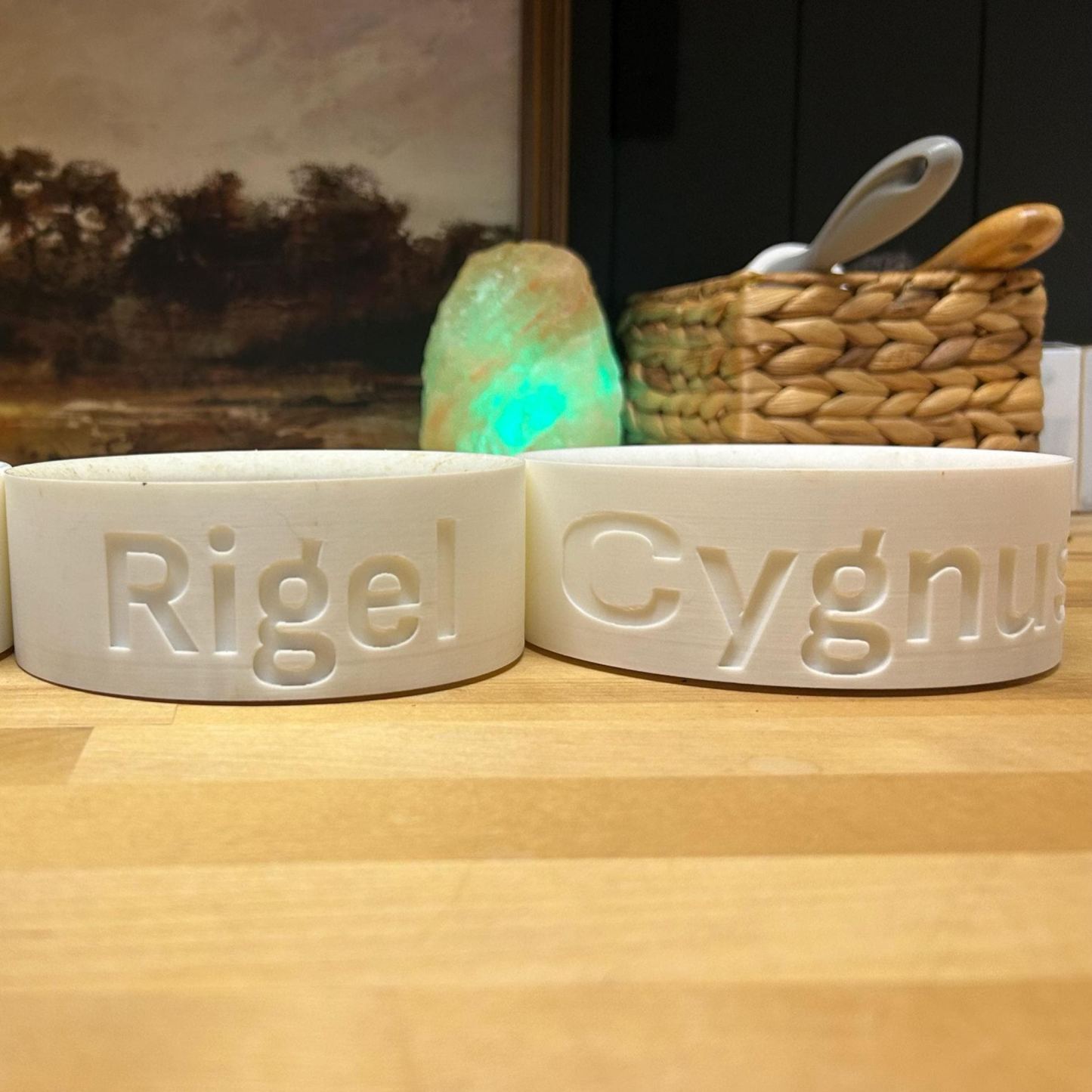 Personalized 3D Printed Name Engraved Pet Bowl | BKPet353