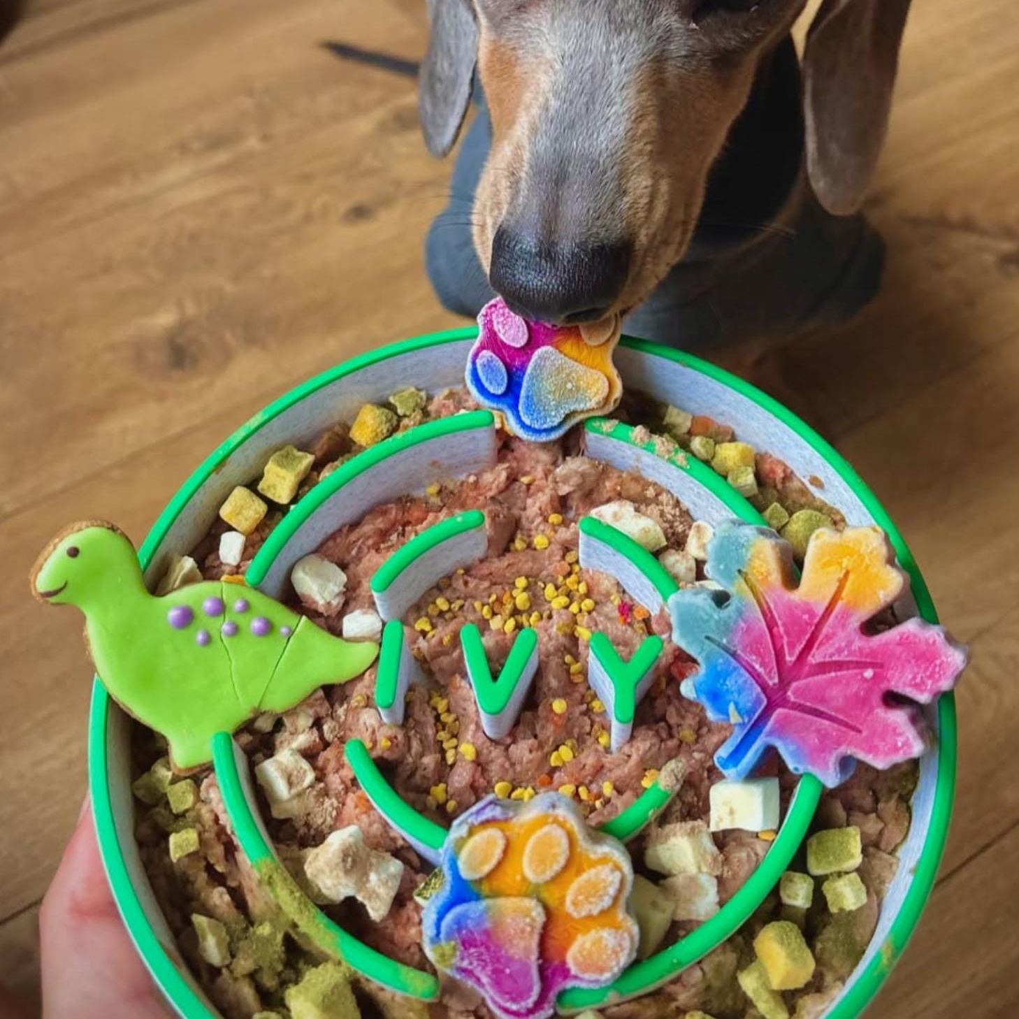 Personalized 3D Printed Dog Slow Feeder Bowl | BKPet354