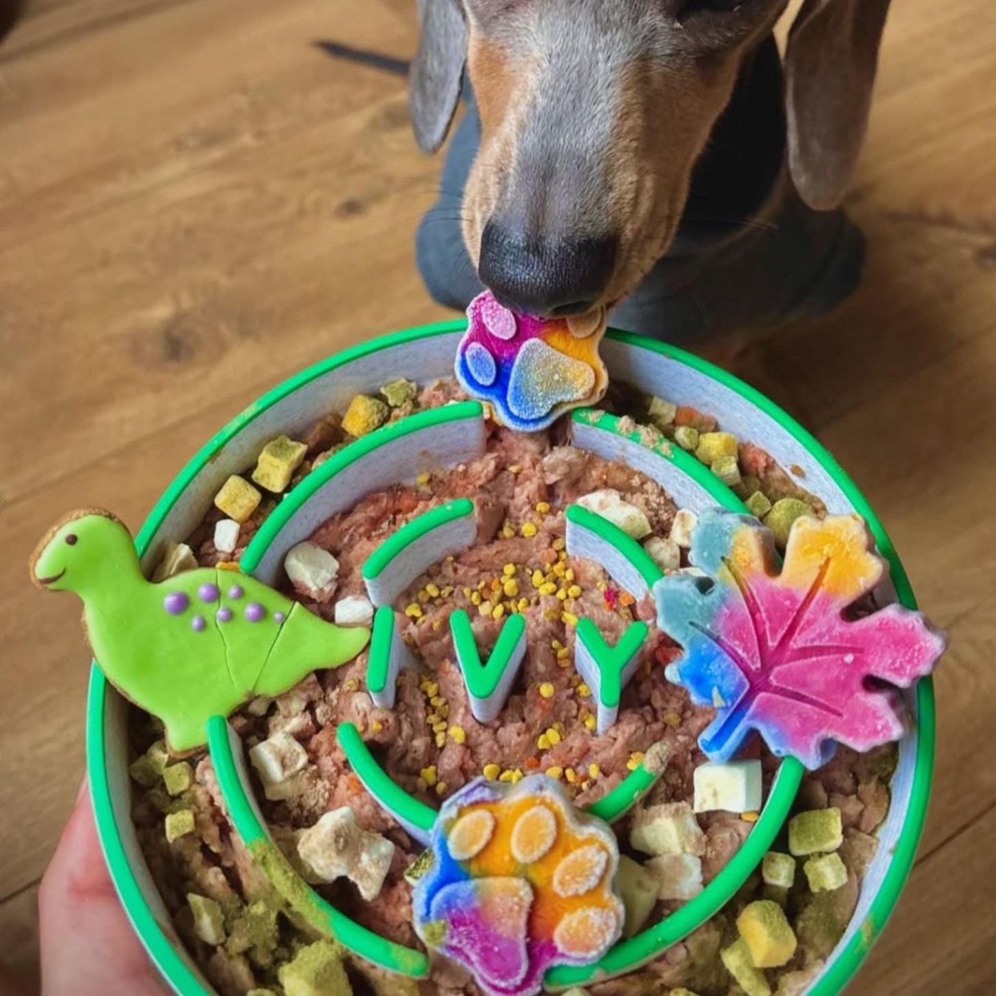 Personalized 3D Printed Dog Slow Feeder Bowl | BKPet354