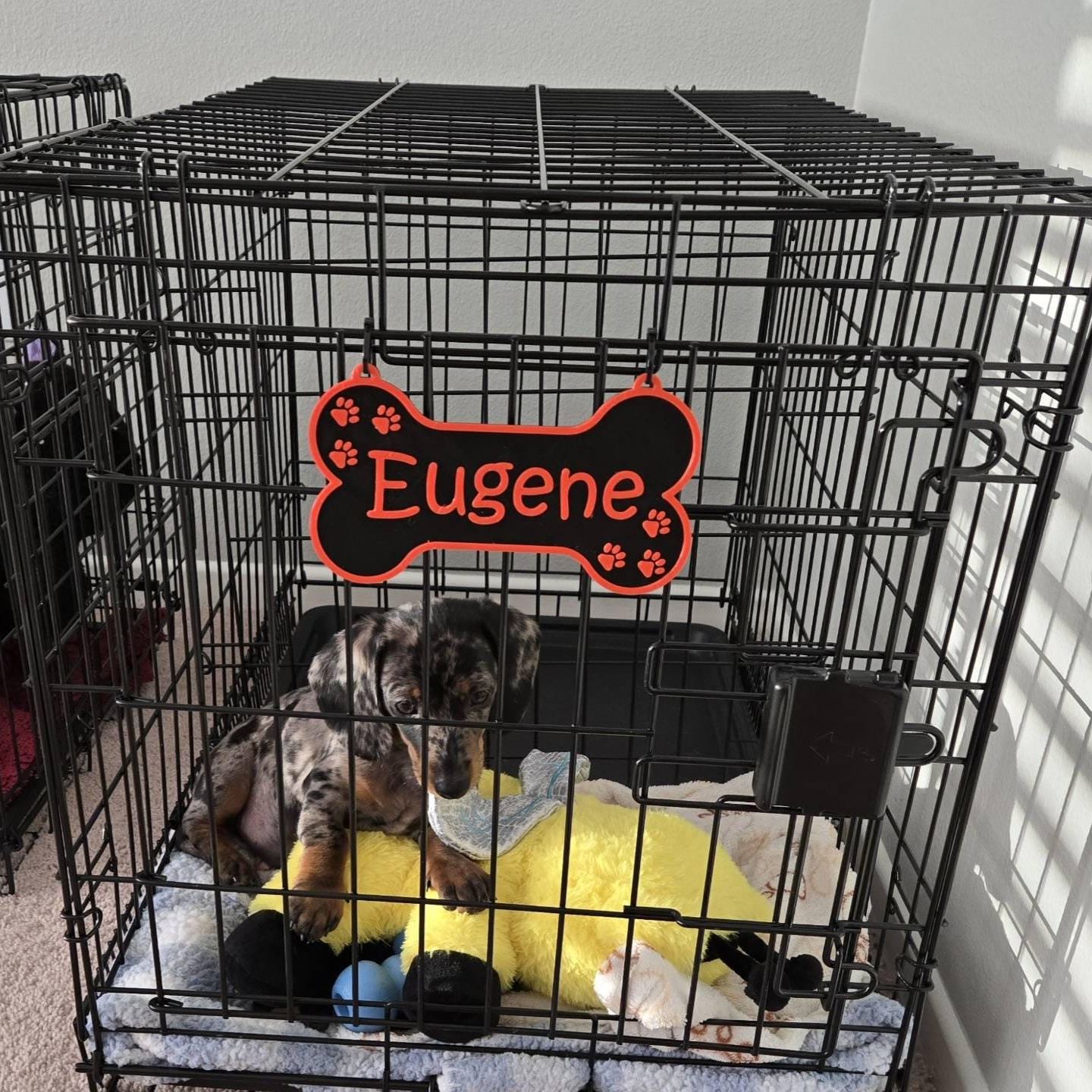Personalized 3D Printed Dog Name Crate Sign | BKPet359