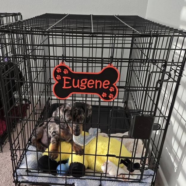 Personalized 3D Printed Dog Name Crate Sign | BKPet359