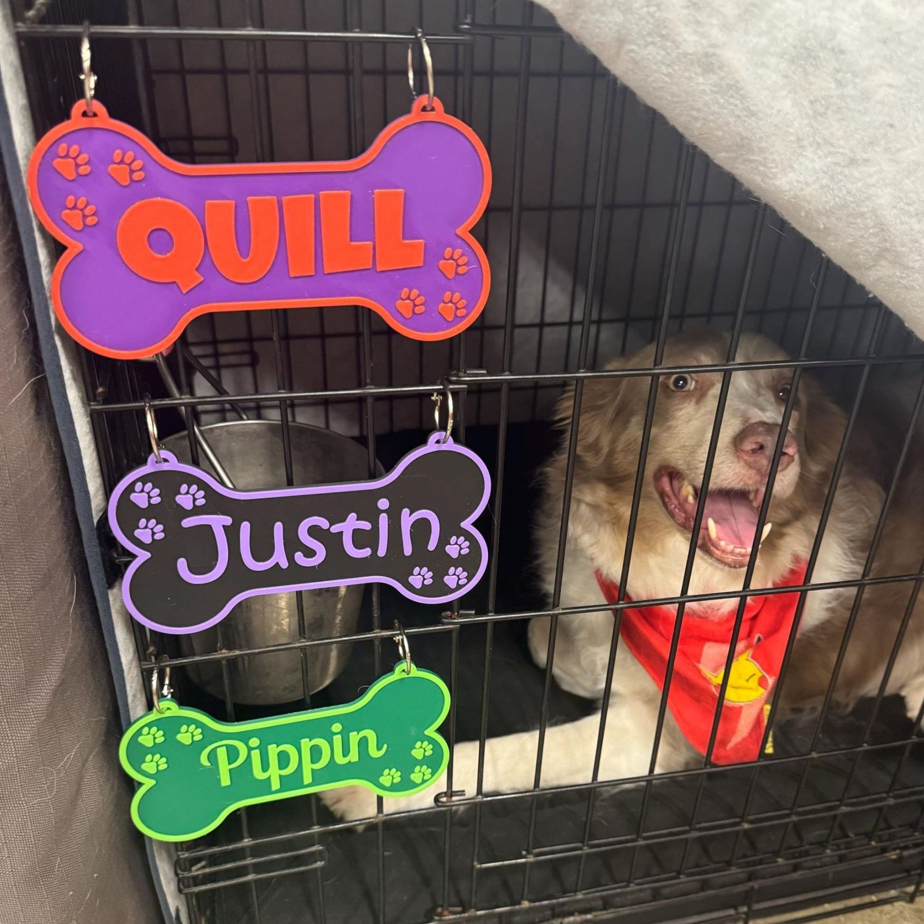 Personalized 3D Printed Dog Name Crate Sign | MNHome70