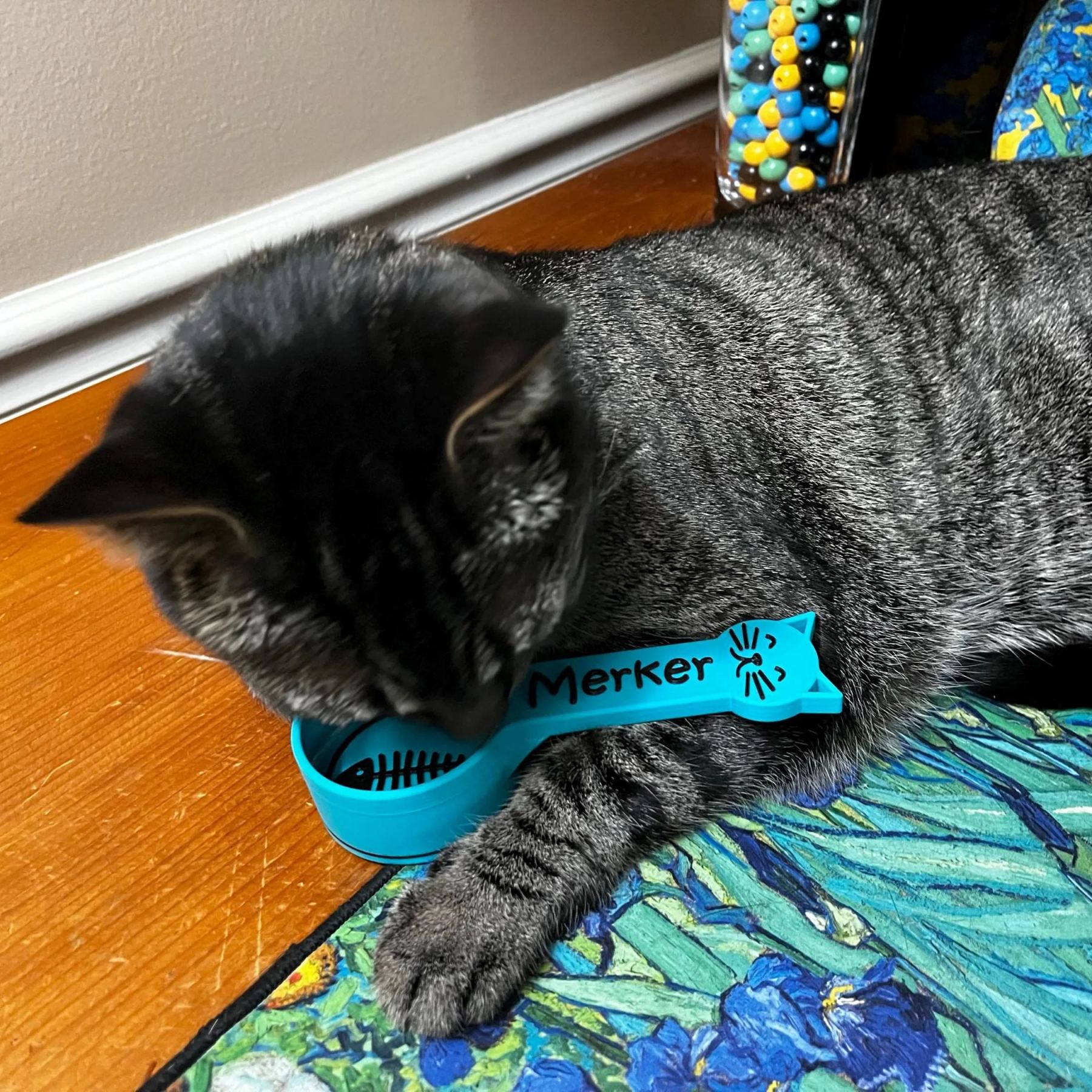 Personalized 3D Printed Fish Bone Cat Food Scoop | BKPet360