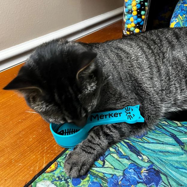 Personalized 3D Printed Fish Bone Cat Food Scoop | BKPet360