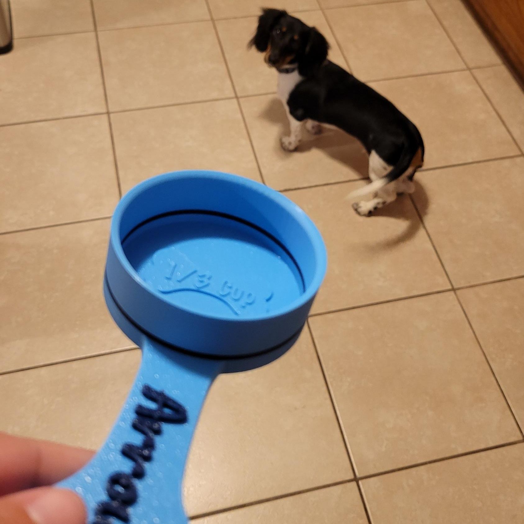 Personalized 3D Printed Measuring Dog Food Scoop | BKPet370