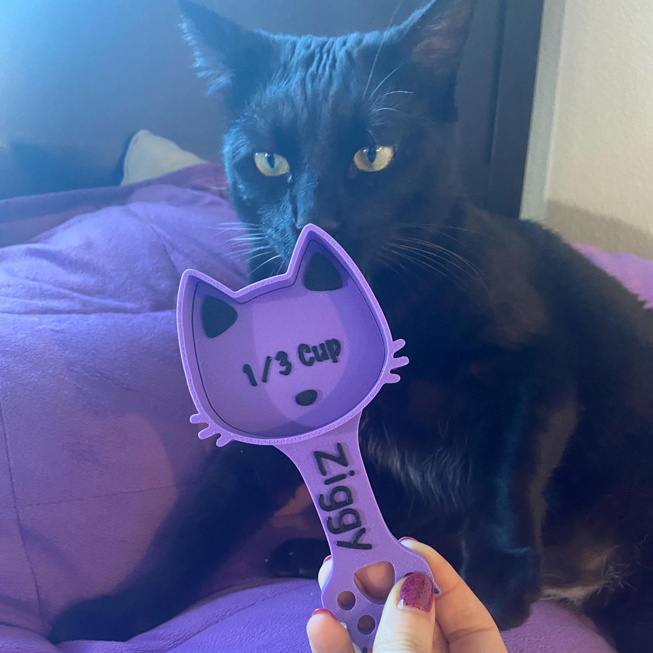 Personalized 3D Printed Measuring Cat Food Scoop | BKPet371