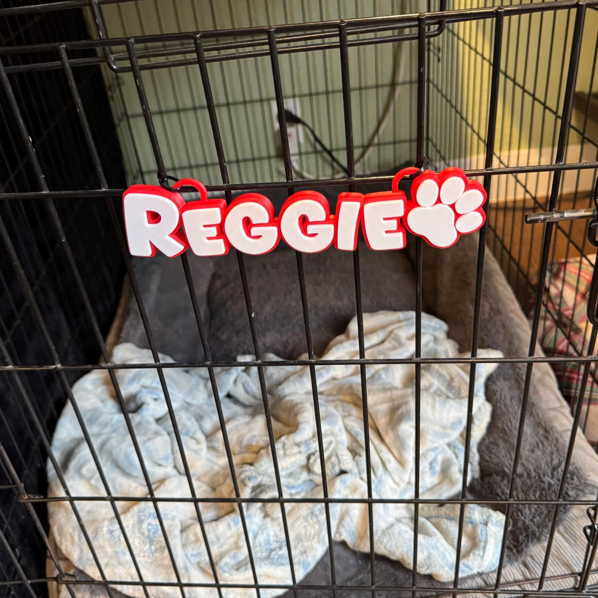 Personalized 3D Printed Dog Name Crate Sign | BKPet372