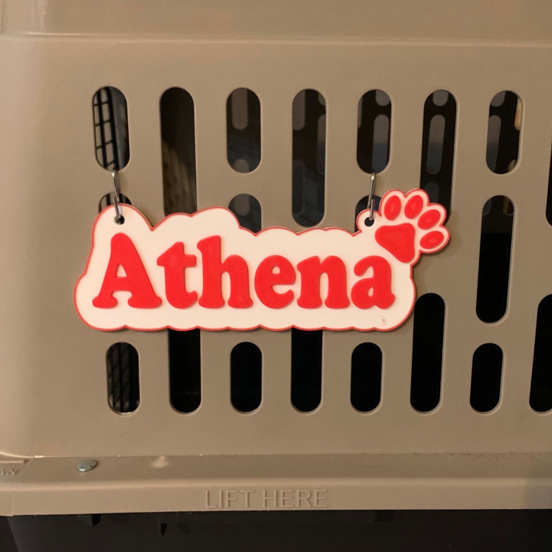 Personalized 3D Printed Dog Name Crate Sign | MNHome71