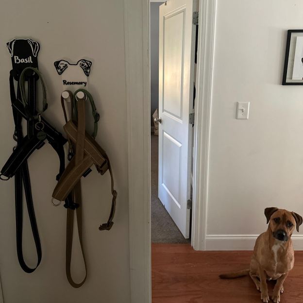 Personalized Leash & Collar Hanger Dog Leash Hanger for Wall | BKPet402