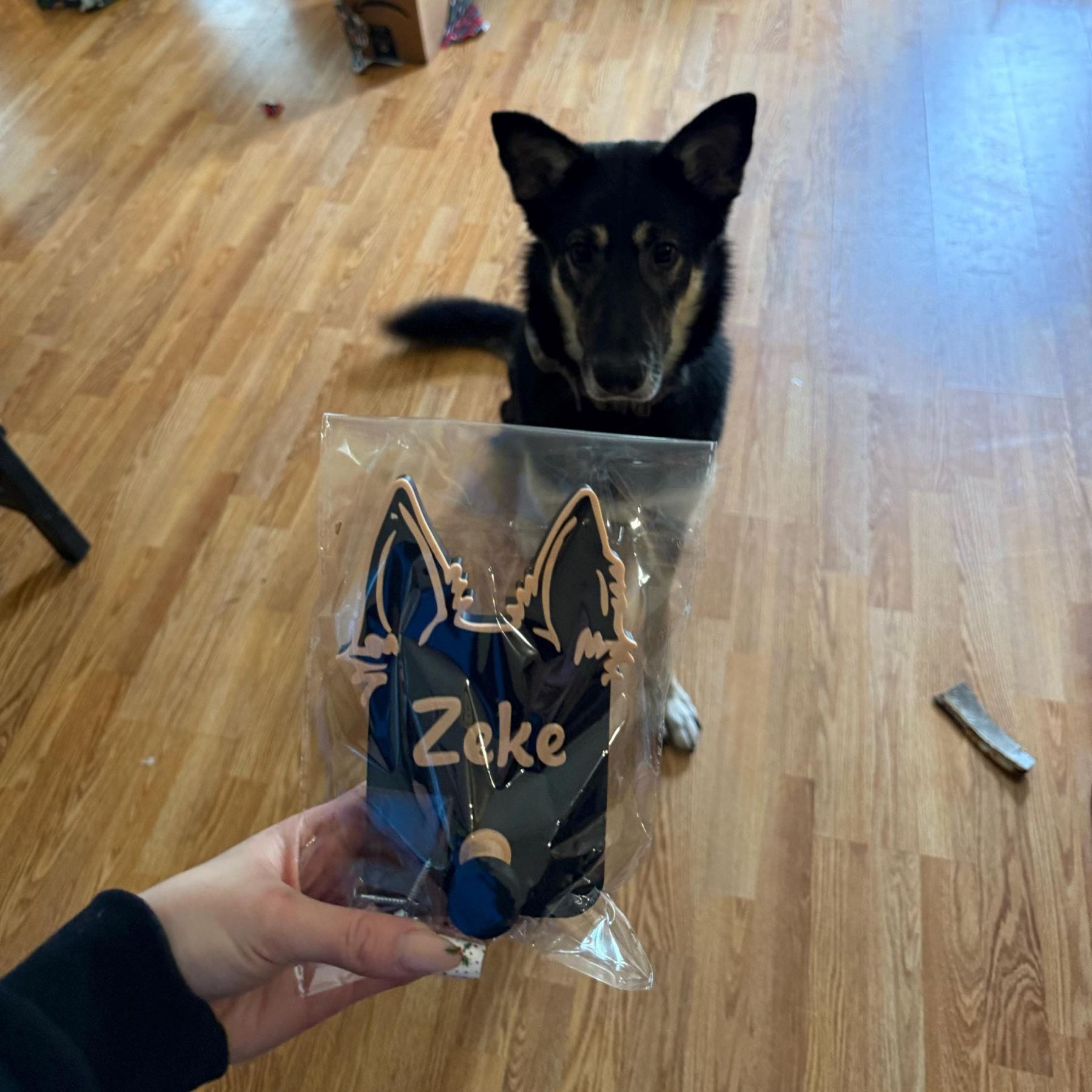 Personalized Leash & Collar Hanger Dog Leash Hanger for Wall | BKPet402