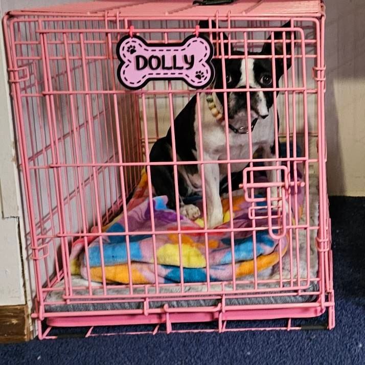 Personalized 3D Printed Dog Name Crate Sign | BKPet411