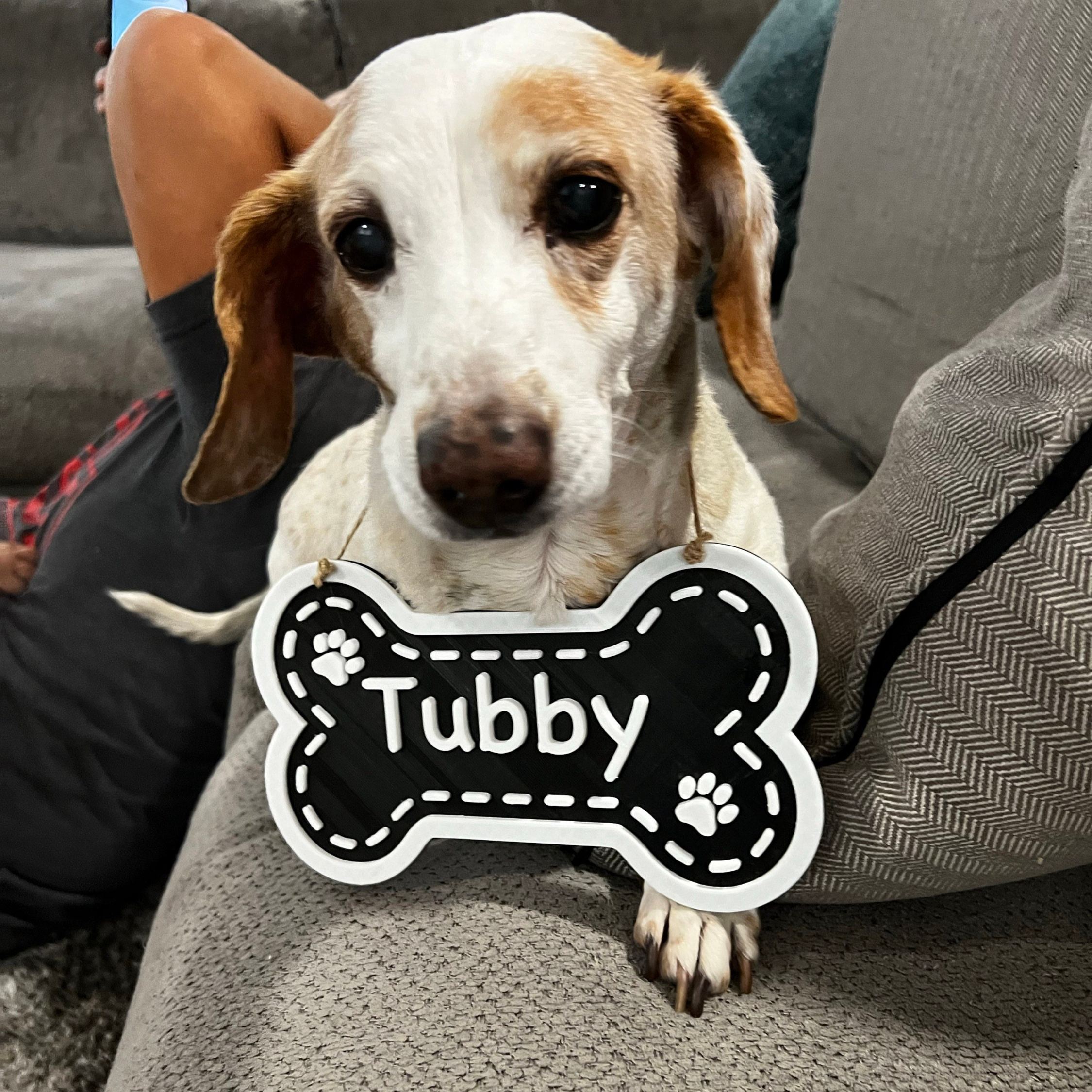 Personalized 3D Printed Dog Name Crate Sign | BKPet411