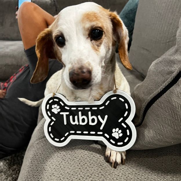 Personalized 3D Printed Dog Name Crate Sign | BKPet411