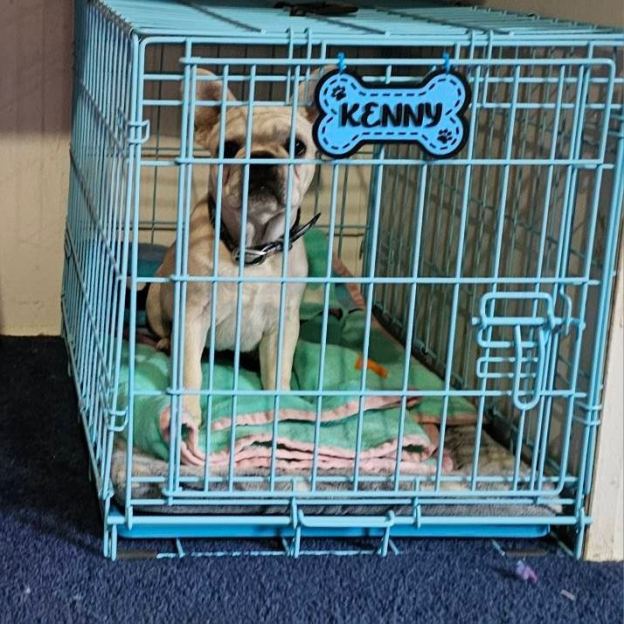 Personalized 3D Printed Dog Name Crate Sign | BKPet411